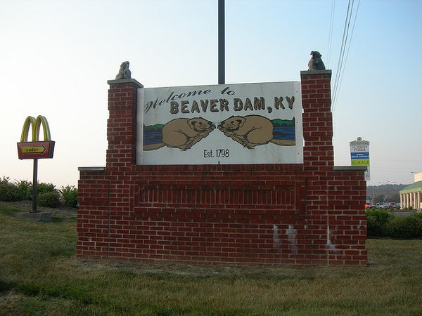 Beaver Lick Trading Post